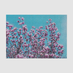 Roze Magnolia Blossom Blue Sky Decoupage Tissuepapier