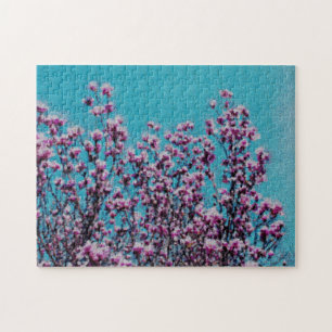 Roze Magnolia Blossom Blue Sky Foto schilderen Legpuzzel