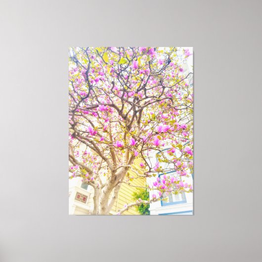 Roze Magnolia Blossom Canvas Afdruk (Voorkant)