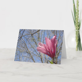 Roze Magnolia boombloesem foto - Blanco kaart