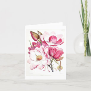 Roze Magnolia  Botanische Note Kaart