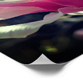 Roze Magnolia Flower Blossom Close Poster (Hoek)