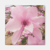 Roze Magnolia Flower Square Magnet Magneet (Voorkant)