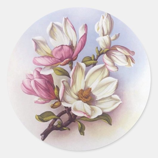  roze Magnolia Retro Botanische Stickers (Voorkant)