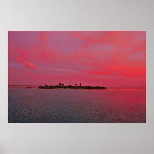 Roze Maldiven Poster (Voorkant)
