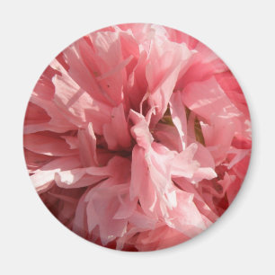  roze mastemnet magneet