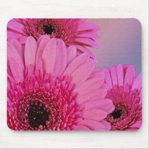 Roze mazen muismat