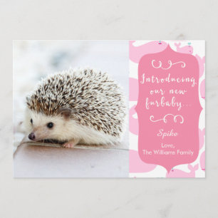 Roze mededeling van de New Furbaby Aankondiging