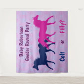 Roze Merrie of Blauwe Veulen Geslacht Reveal Feest Wandkleed (Voorkant)