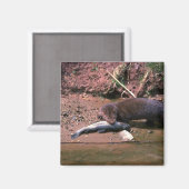 Roze met kleine vis magneet (Voorkant / Achterkant)