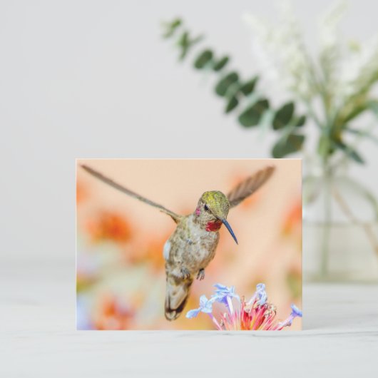 Roze, met roze ontrokken levende vogel die over de briefkaart (Staand voorkant)