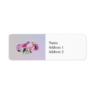 Roze Miniatuur Rozen Etiket
