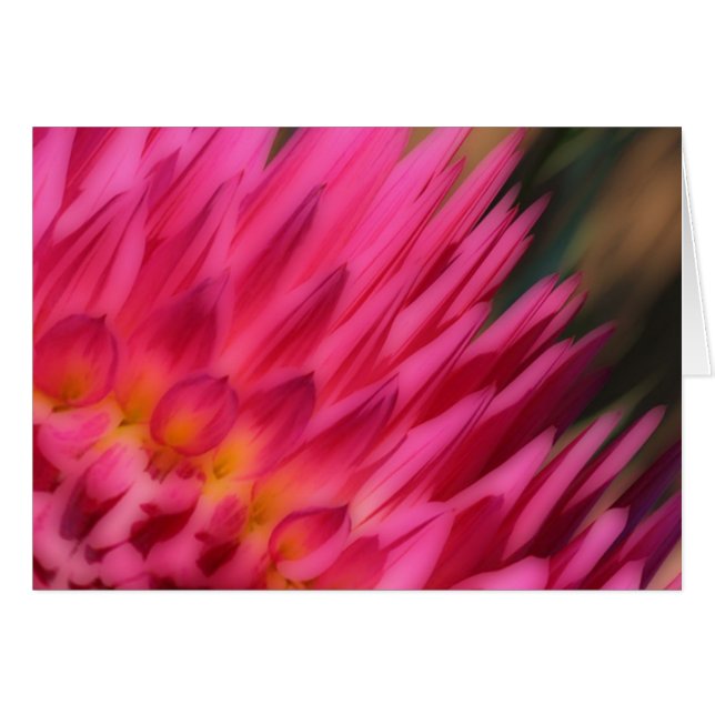 Roze-Mom (Voorkant Horizontaal)