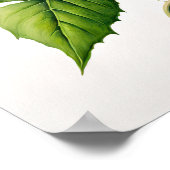 Roze Morning Glory Flowers Art Print Poster (Hoek)