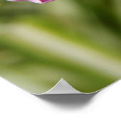 Roze morning Glory w/ Verse vanaf Psalm 118:24 Poster (Hoek)