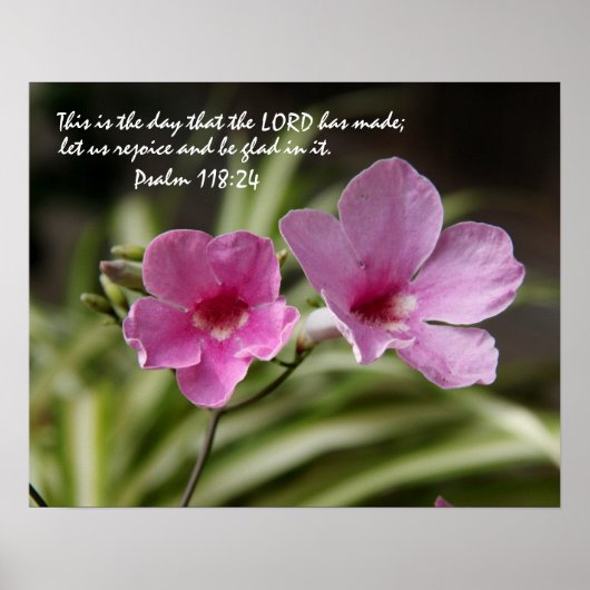 Roze morning Glory w/ Verse vanaf Psalm 118:24 Poster (Voorkant)