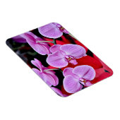 Roze mot orchideeën print magneet (Rechterzijde)