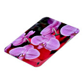 Roze mot orchideeën print magneet (Linkerzijde)