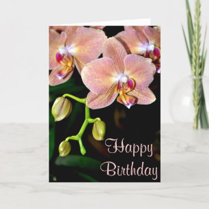 Roze moth orchids verjaardagscadeau wenskaart kaart