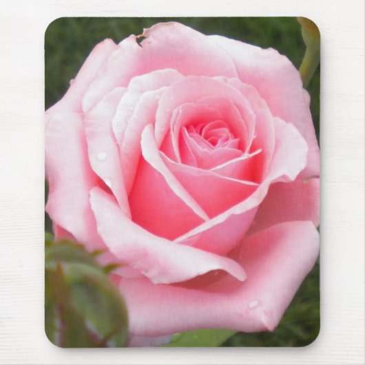 Roze Muismat (Voorkant)