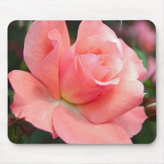 Roze Muismat (Voorkant)