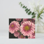 Roze Mums Briefkaart (Staand voorkant)