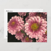 Roze Mums Briefkaart (Voorkant / Achterkant)