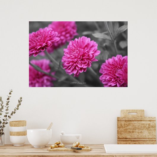 Roze Mums Poster (Keuken)