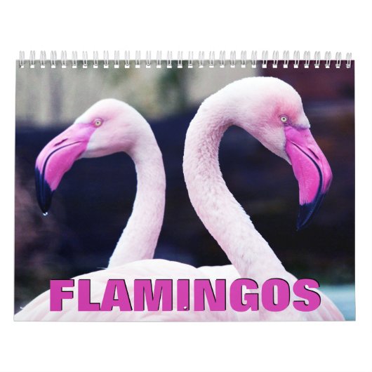 Roze muur-kalender voor Flamingos Kalender (Hoes)