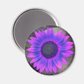 Roze N paarse zonnebloem Magnet Magneet (Voorkant / Achterkant)