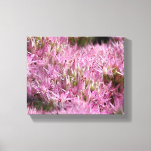 Roze najaarsbloemen sluiten dicht canvas afdruk