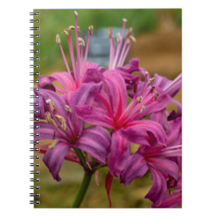  Roze Nerine Flowers Spiral Notitieboek