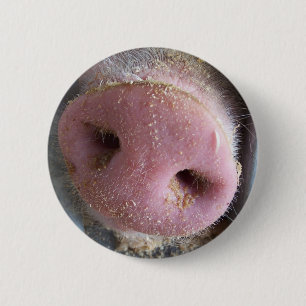 Roze neus Varkenshaar dicht foto Ronde Button 5,7 Cm