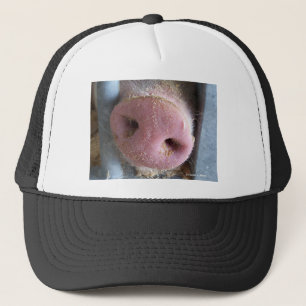 Roze neus Varkenshaar dicht foto Trucker Pet