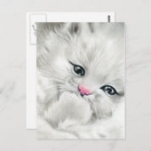 roze neus wit vloeiend kat briefkaart (Voorkant / Achterkant)