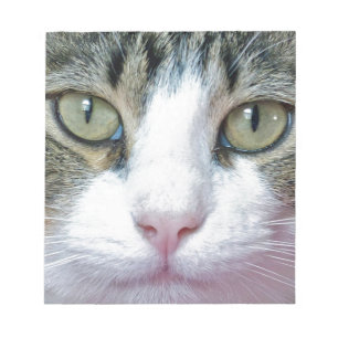 Roze nose notitieblok