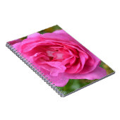 Roze november Roos notebook Notitieboek (Rechterzijde)