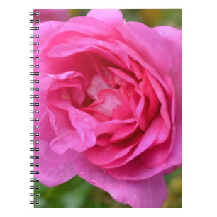 Roze november Roos notebook Notitieboek