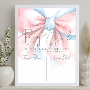 Roze Of Blau Stem Geslacht Reveal Feestje Poster