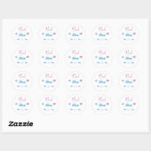 Roze of blauw ronde sticker (Vel)