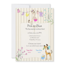 Roze of Blauwe Geslacht Reveal Hond & Kat