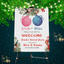 Roze of Blauwe Winter Geslacht Reveal Feest Verwel