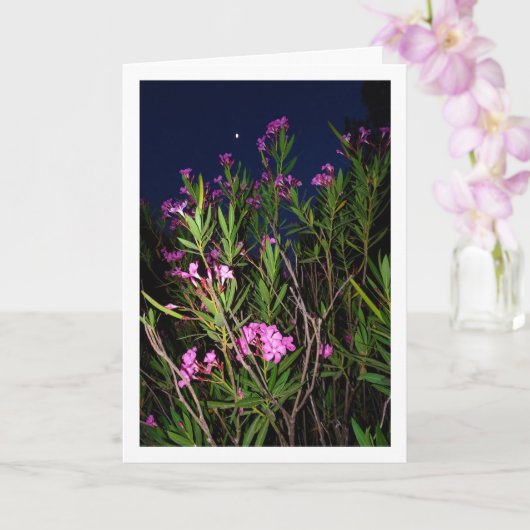 Roze Oleander bij nacht Kaart (Orchidee)