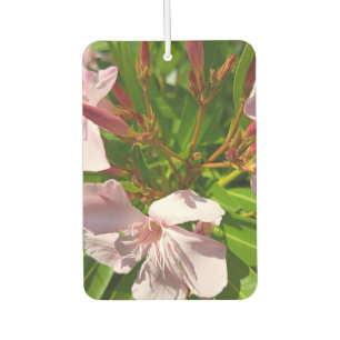 Roze Oleander Bloemige Auto Luchtverfrisser Botani