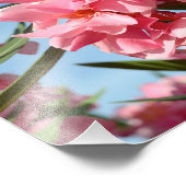 Roze oleander Fotouitbreiding Foto Afdruk (Hoek)