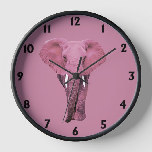 Roze olifant (Voorkant)