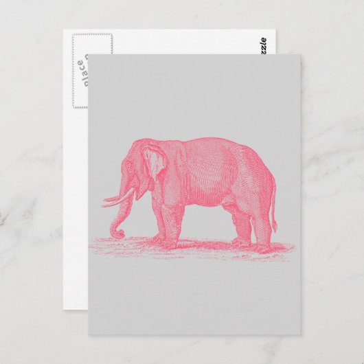 roze olifant op Grijze 1800s Elephants Briefkaart (Voorkant / Achterkant)