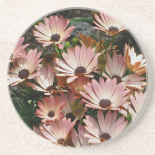 Roze Onderzetter van Afrikaanse Daisies Floral