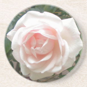 Roze Onderzetters