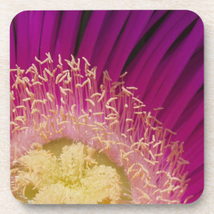 Roze Onderzetters